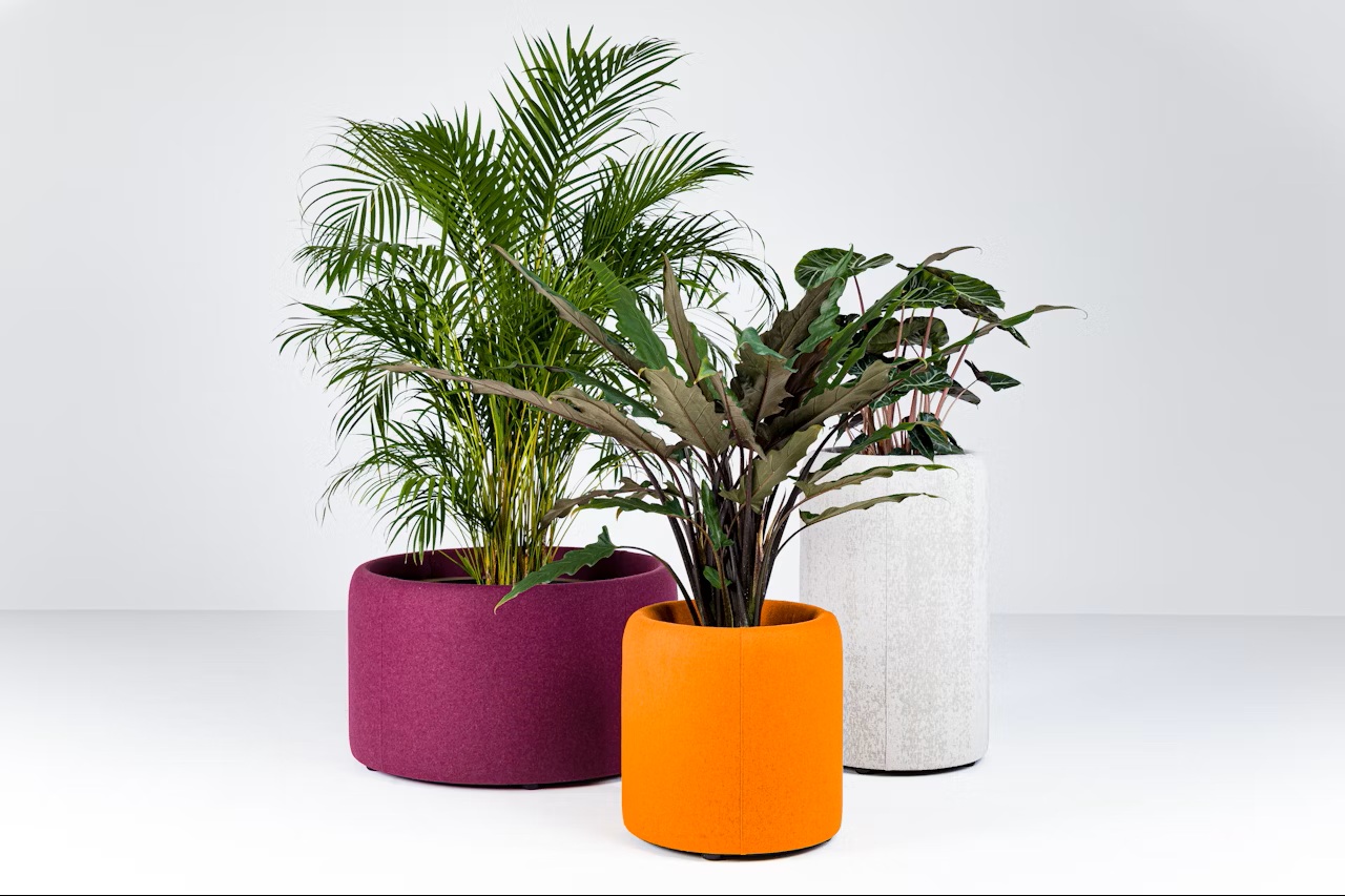 BuzziPlanter