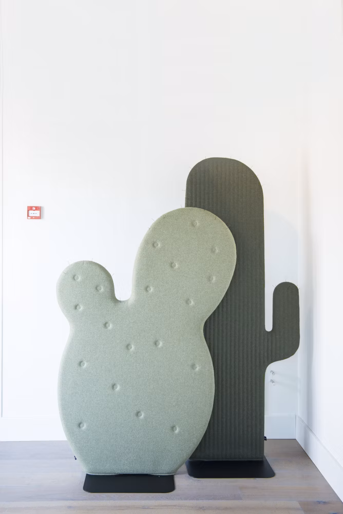 1680536775-2512_pr_bladel_nl_buzzicactus_7332