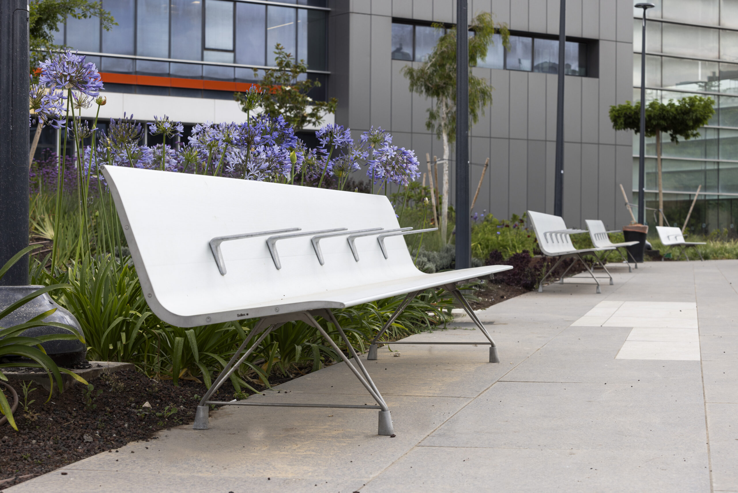 Shnider_benches_0M4A3692-scaled-3