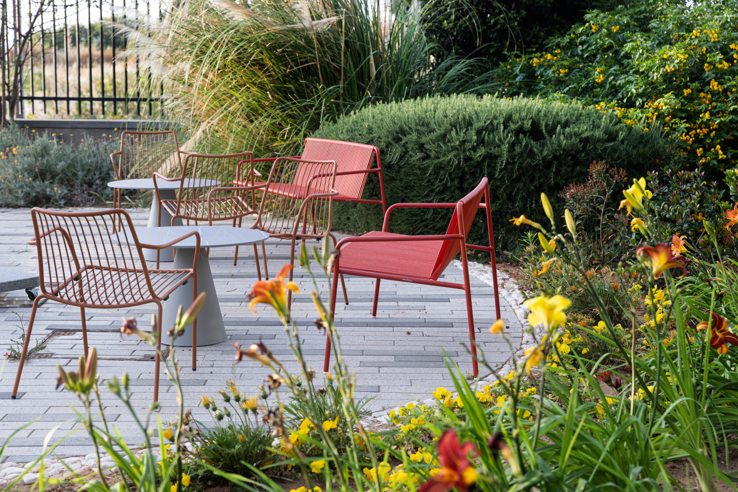 tribeca-benchikon-tablenolita-chair-pedrali-scaled-1